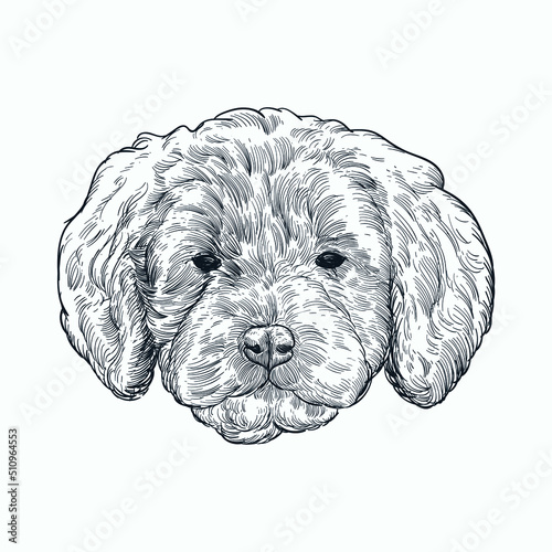 Vintage hand drawn sketch dog head
