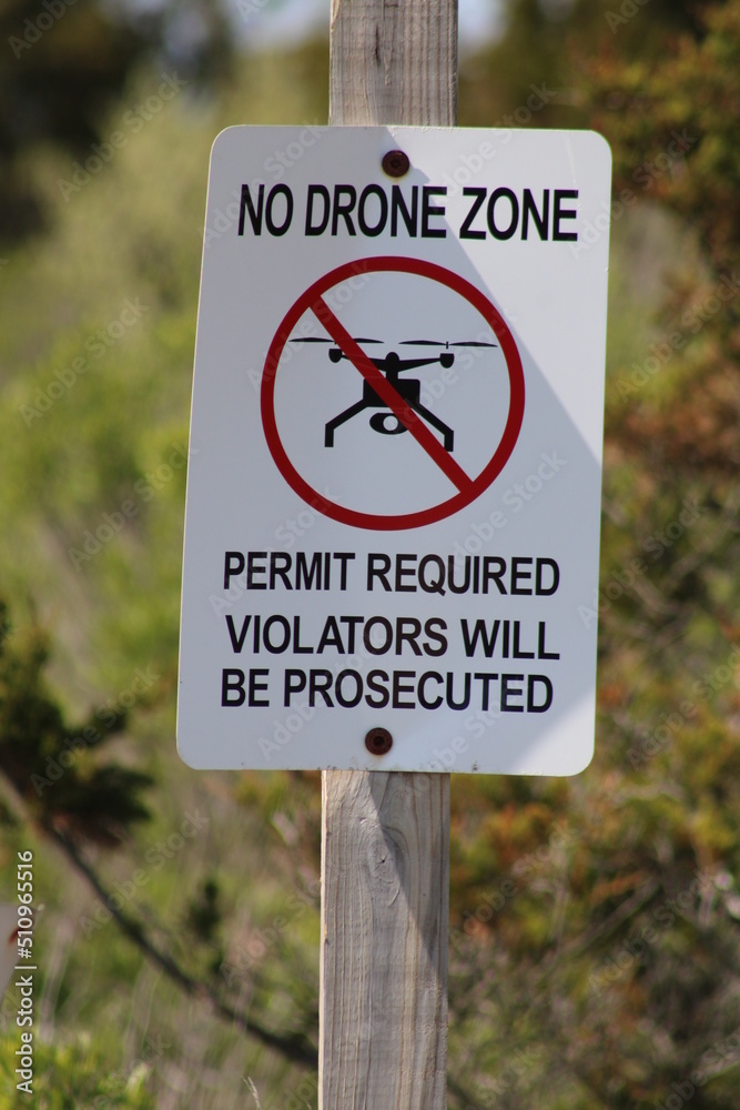 New York Scapes and Follies