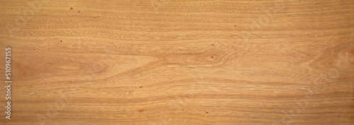 Extra long elm wood plank texture background. wood texture background