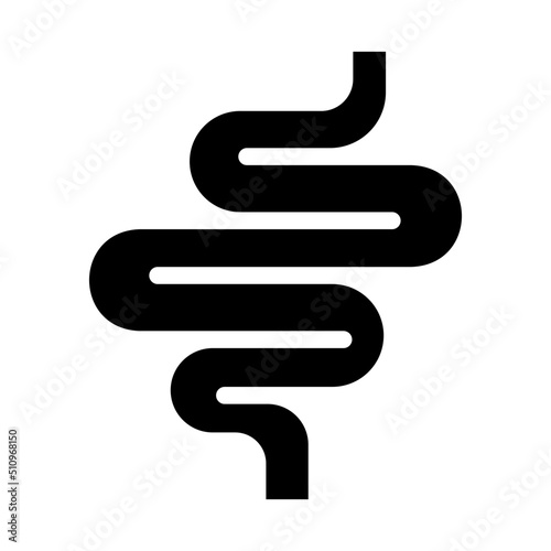 intestine glyph icon
