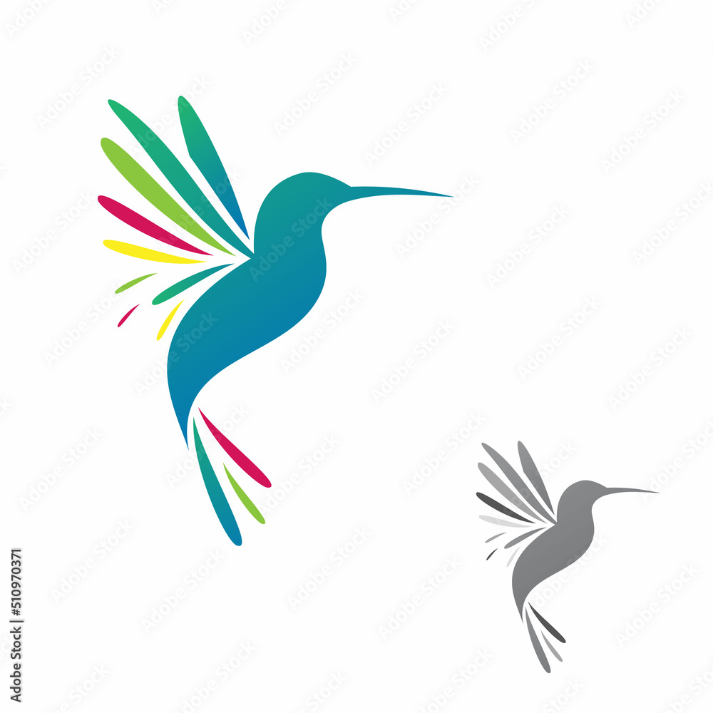 Obraz premium Hummingbird in isolated white background