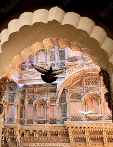 Pigeon flying through arch in Merangarh Fort, Jodhpur, India.