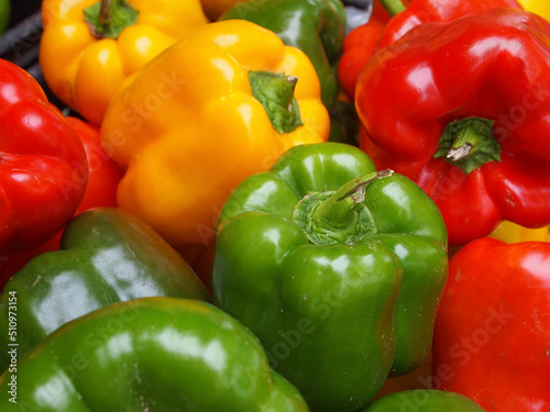 Fresh Colorful Bell Peppers