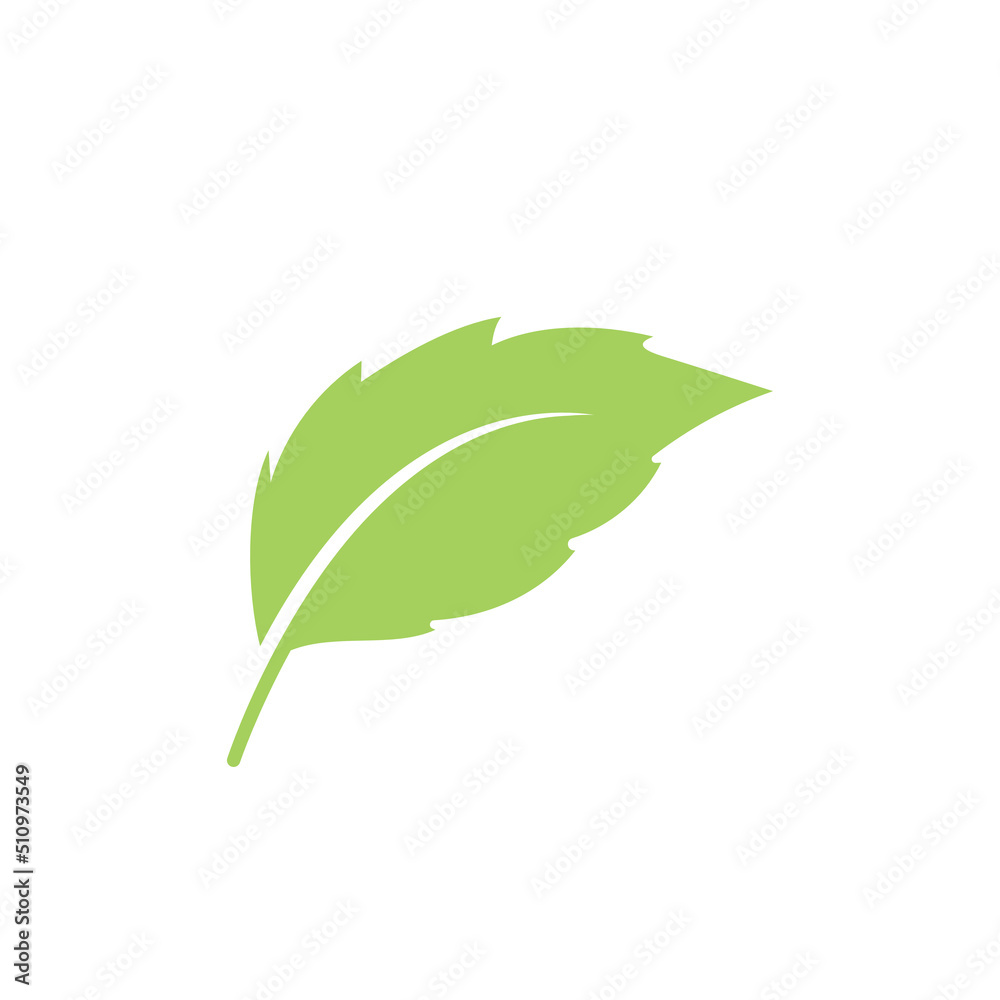 Leaf vector. Cartoon leaf icon on white background Leaf vector. Cartoon leaf icon on white background