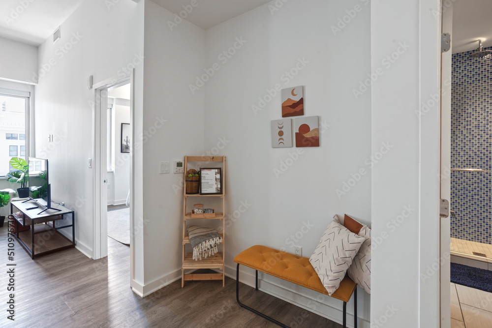 Fototapeta premium White 