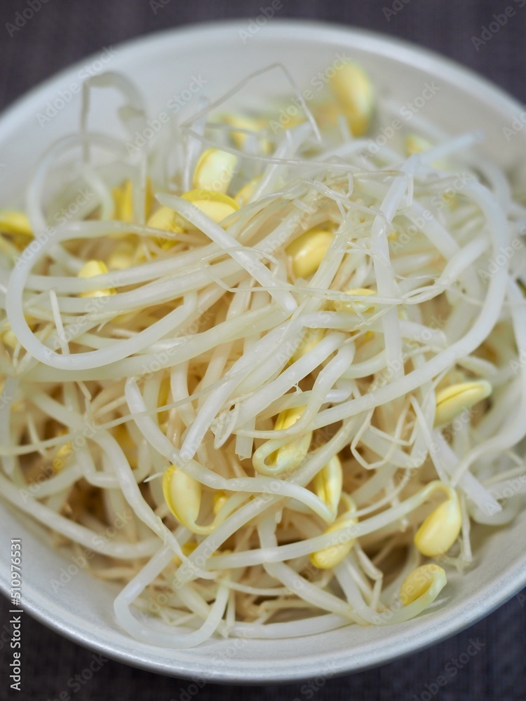 콩나물, 요리재료, 음식 콩나물, 요리재료, 음식