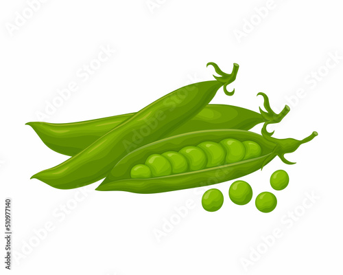 Green peas. Fresh vegetable. Peas from the garden. A ripe pod of green peas. Vector illustration isolated on a white background