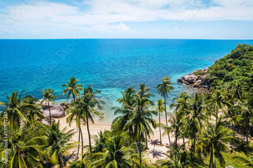 summer sea scenery,coconut trees and beach in summer from above