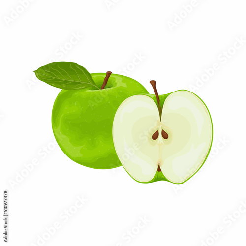Apple. The image of a green apple in the section. Fresh garden fruit. Vegetarian product. Vector illustration isolated on a white background