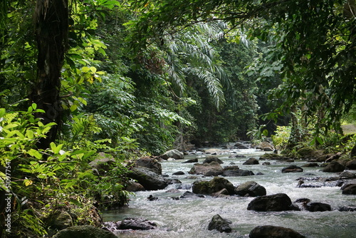 Wallpaper Mural stream in the forest Torontodigital.ca