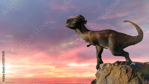 Pachycephalosaurus, dinosaur from the Late Cretaceous period © dottedyeti