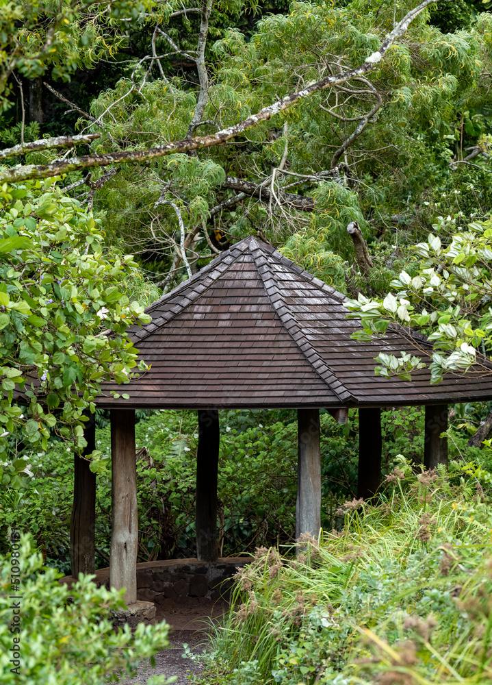 Asian Tea Shelter in the Honolulu Rain Forest for use as a background or cover photo design.
Asian Tea Shelter in the Honolulu Rain Forest for use as a background or cover photo design.