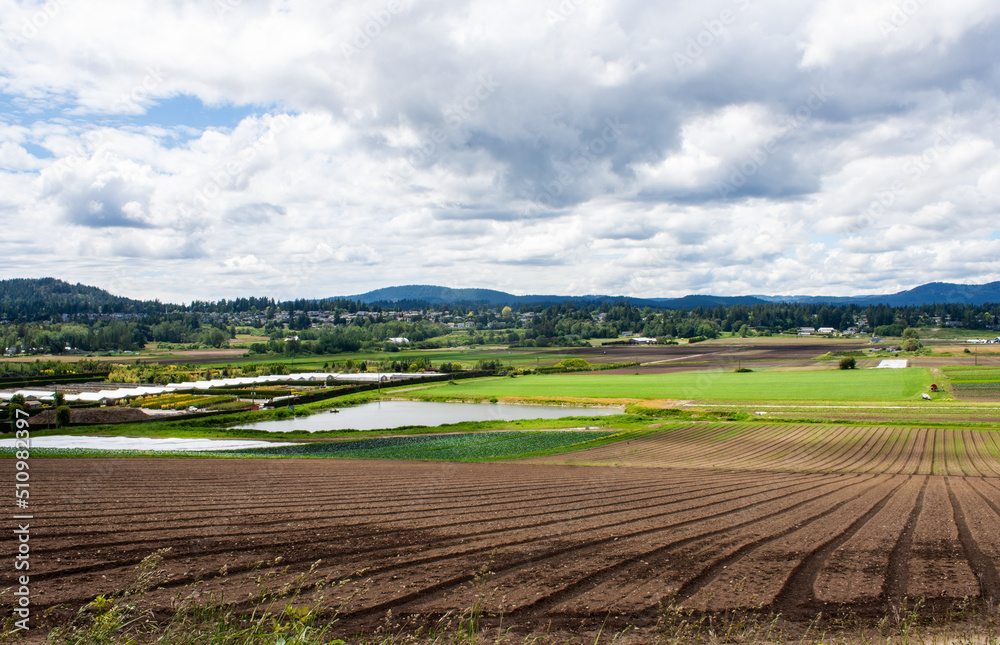 Saanich Farm Panorama, British Columbia, Canada