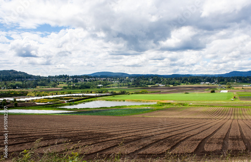 Saanich Farm Panorama, British Columbia, Canada