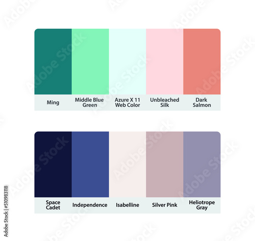 Matching color palette guide catalog collection. RGB HEX color codes with color names. Suitable for fashion Branding etc. 2 color palettes each contain 5 colors. Including pink and purple.