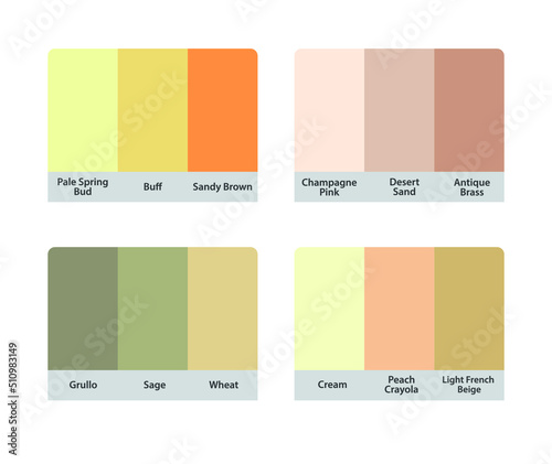 Matching color palette guide catalog collection. RGB HEX color codes with color names. Suitable for fashion Branding etc. 4 color palettes each contain 3 colors. Including yellow and pink.