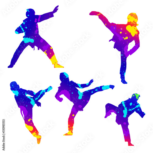 テコンドーシルエットカラフル