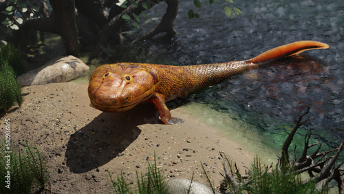 Tiktaalik, extinct walking fish, evolution of four-legged animals photo