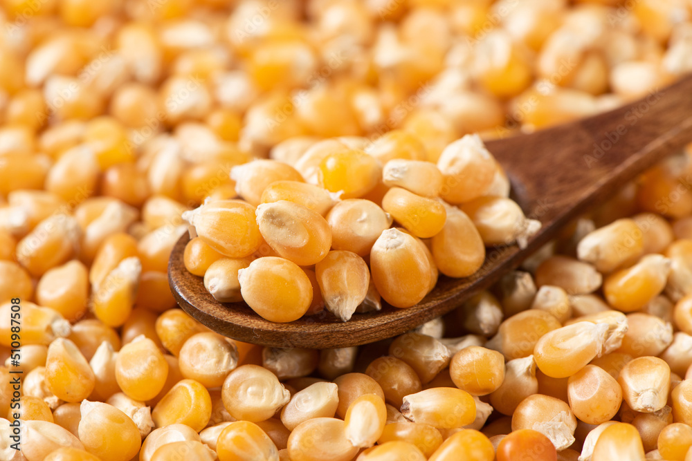 dry corn in wooden spoon texture background. dry corn in wooden spoon texture background.