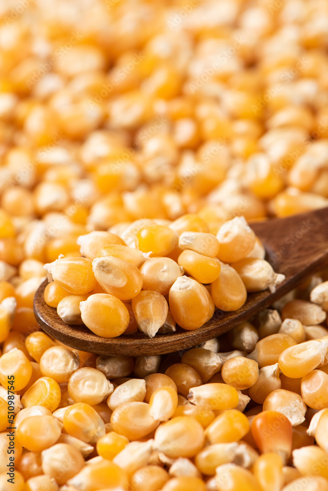 dry corn in wooden spoon texture background. dry corn in wooden spoon texture background.