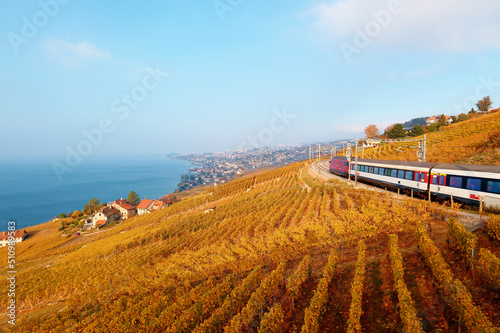 A local train travels on a railway thru Lavaux vineyard terraces with golden grapevines on a sunny fall day & Lausanne city lying on the shore of Lake Geneva, in Grandvaux, Canton of Vaud, Switzerland photo