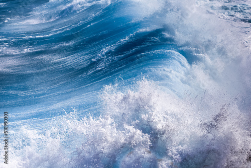 Dos de vague bleue