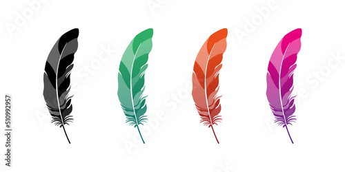 Lettering feather vector. Feather pen.