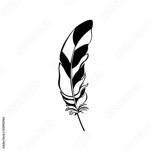 Lettering feather vector. Feather pen.