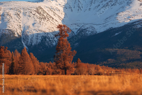 Landscape adventure autumn forest mountains Chuysky tract, Altai Kurai steppe
