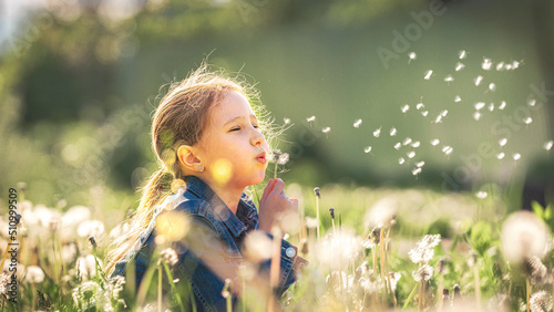 cute little girl blowing dandelions in a sunny flower meadow . Summer seasonal outdoor activities for children. The child smiles and enjoys summer fun