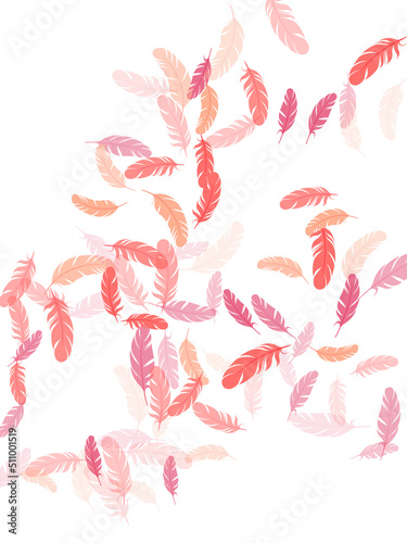 Fluffy twirled feathers on white design.