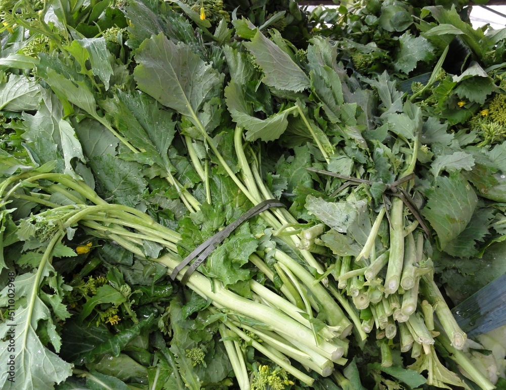 Grehho - typical vegetables in Portugal Grehho - typical vegetables in Portugal
