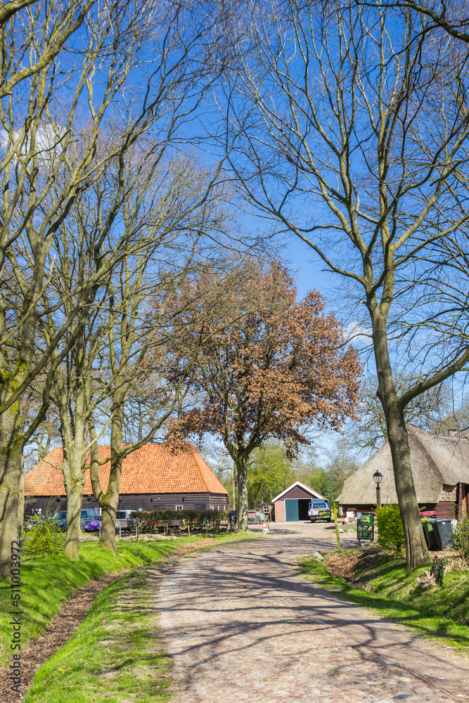 Cobblestoned road leading to an old farm in Orvelte, Netherlands