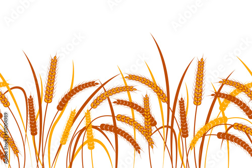 Ears of wheat on a transparent background