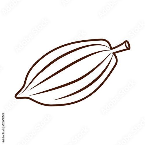 Chocolate, cocoa fruits icon vector