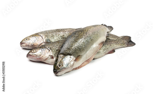 Raw Trout Isolated