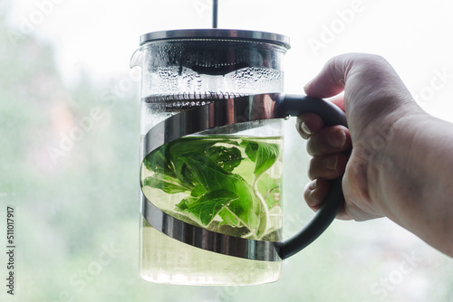 Hand holds a French press with green tea from fresh mint leaves in front of the window. Hot mint tea closeup with copy space photo