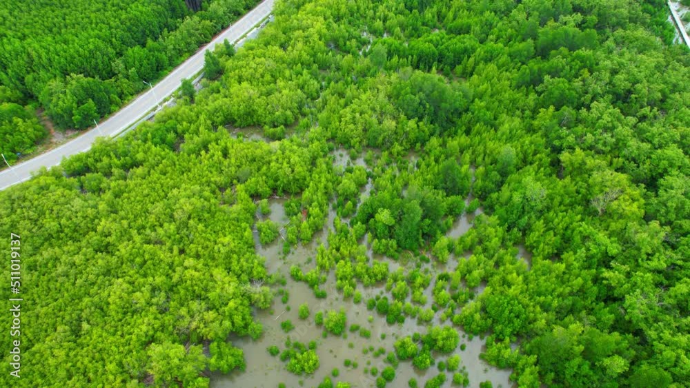 Beautiful mangrove forest at Bangkaew, Samut Songkhram, Thailand. Aerial view from a drone. texture in nature. 4k Footage
Beautiful mangrove forest at Bangkaew, Samut Songkhram, Thailand. Aerial view from a drone. texture in nature. 4k Footage