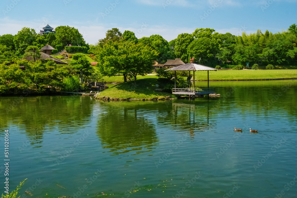 Fototapeta premium 新緑の岡山後楽園 岡山県