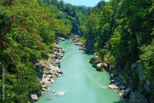 新緑の天龍峡　長野県 photo