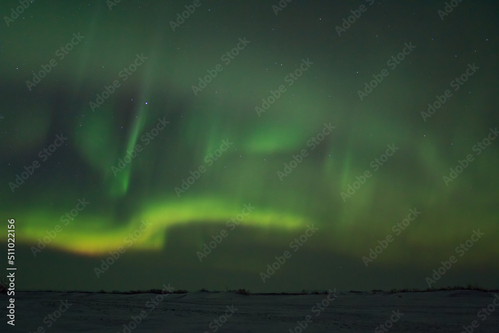 Aurora borealis over the snow-covered tundra in the Arctic. Beautiful northern lights and stars in the night sky. The amazing nature of the polar regions. Cold winter weather. Great for background.