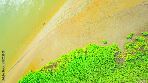 Aerial view Top view of Mangroves forest. An ecosystem in the Bang Ya Phraek, Samut Sakhon, Thailand. Mangrove landscape. Mangrove Ecosystem. Mangroves along the coastline. 4k Drone Footage.
 photo