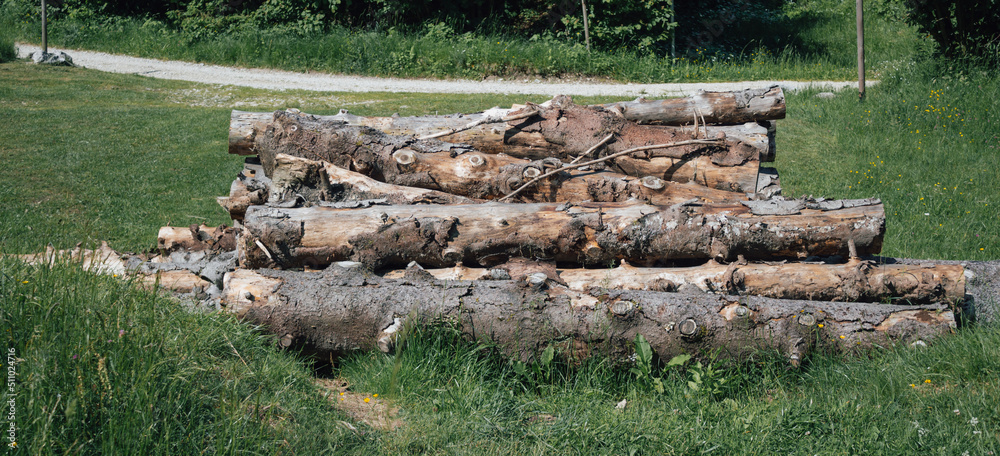 Wooden logs in the meadow. Concept of deforestation, renewable energy and energy saving. Wooden logs in the meadow. Concept of deforestation, renewable energy and energy saving.