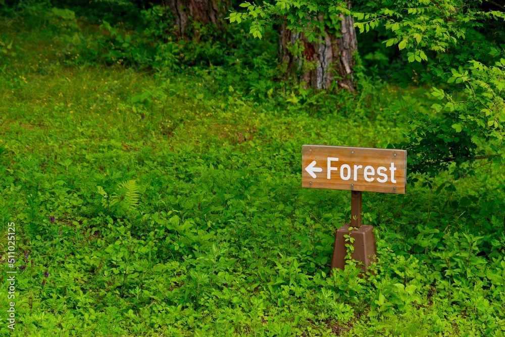 森の中の看板　Forest道案内