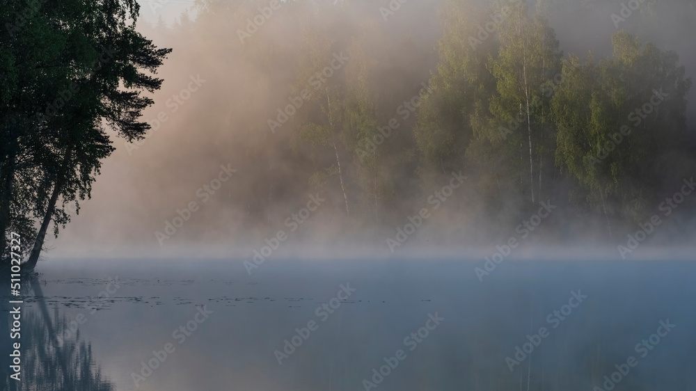 Silhouettes of trees on background of a foggy lake in the early morning Silhouettes of trees on background of a foggy lake in the early morning