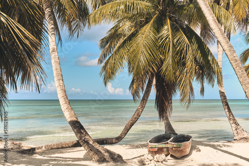 Palm trees on the beach of Saona island in the Caribbean sea. Summer landscape. photo