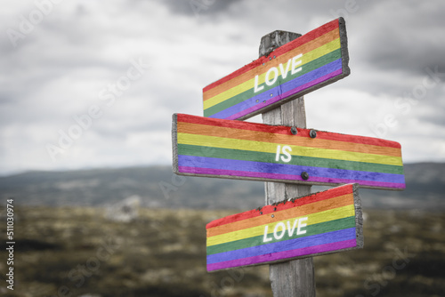 love is love text on wooden signpost with lgbtq flag outdoors in nature. Equality and freedom concept. © Jon Anders Wiken