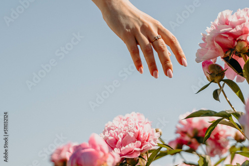 Beautiful girl walks on peony field and touches pink flowers with her hands. Free woman between roses buds. Happy man relaxing in flower garden. Сoncept of freedom. Summer holidays. Lonely  girl