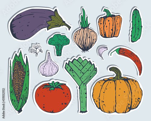 Vegetables stickers. Set of line colored vegetables. Flat illustration. Eps10