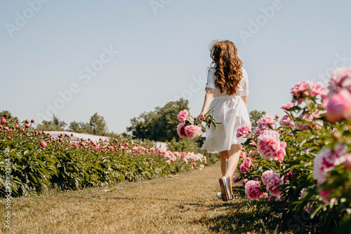 Beautiful girl walks on peony field and touches pink flowers with her hands. Free woman between roses buds. Happy man relaxing in flower garden. Сoncept of freedom. Summer holidays. Lonely  girl